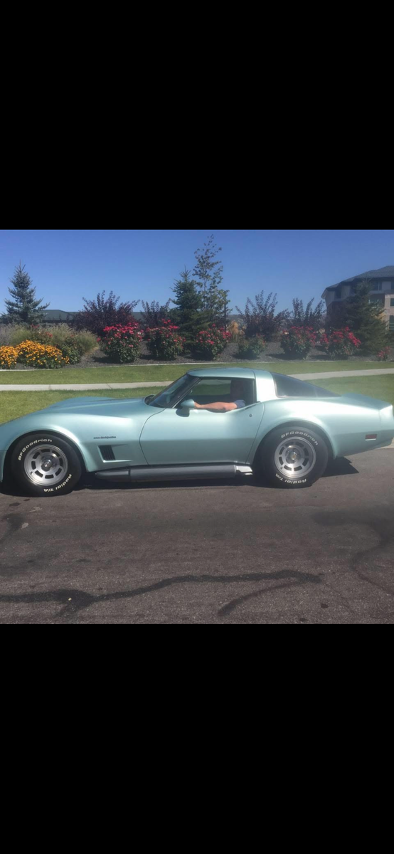 1982 corvette $19,000