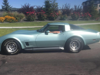 1982 corvette $19,000