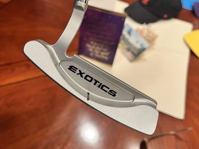 TE Exotics David Glod Tour Proto-2 putter