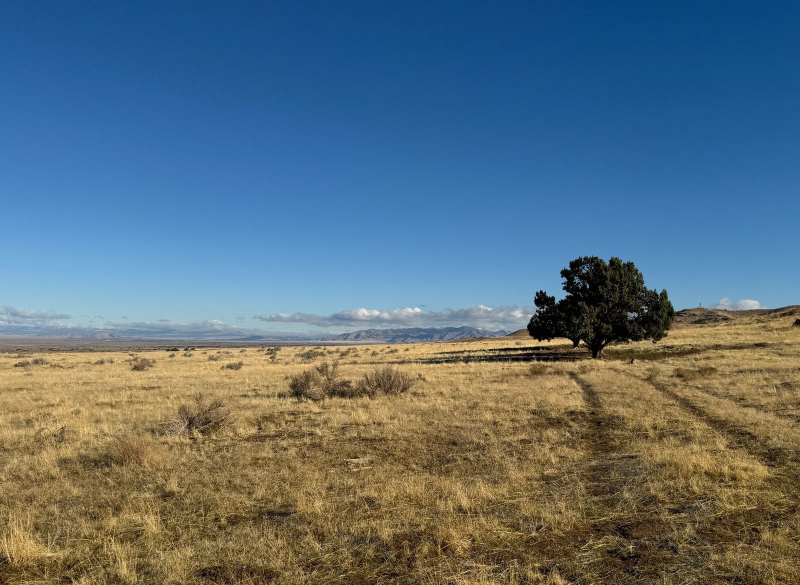 Main image 15