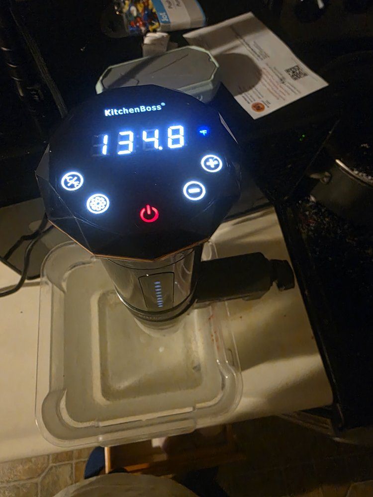 Immersion Blender (Sous vide)