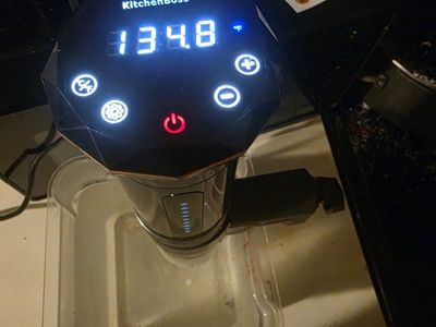 Immersion Blender (Sous vide)