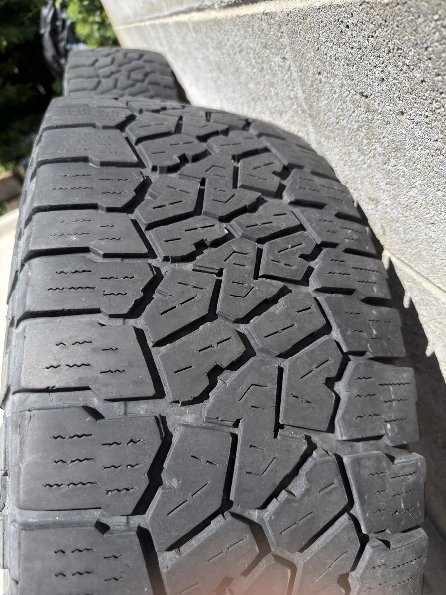 Main image 7