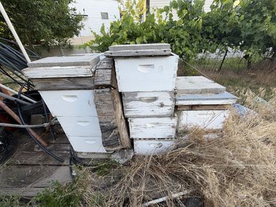 Beehive Boxes And Frames