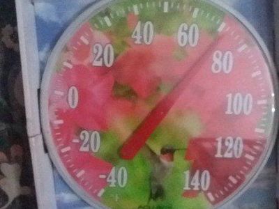 OUTDOOR THERMOMETER WITH HUMMINGBIRD DESIGN
