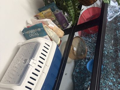 Hamster Supplies