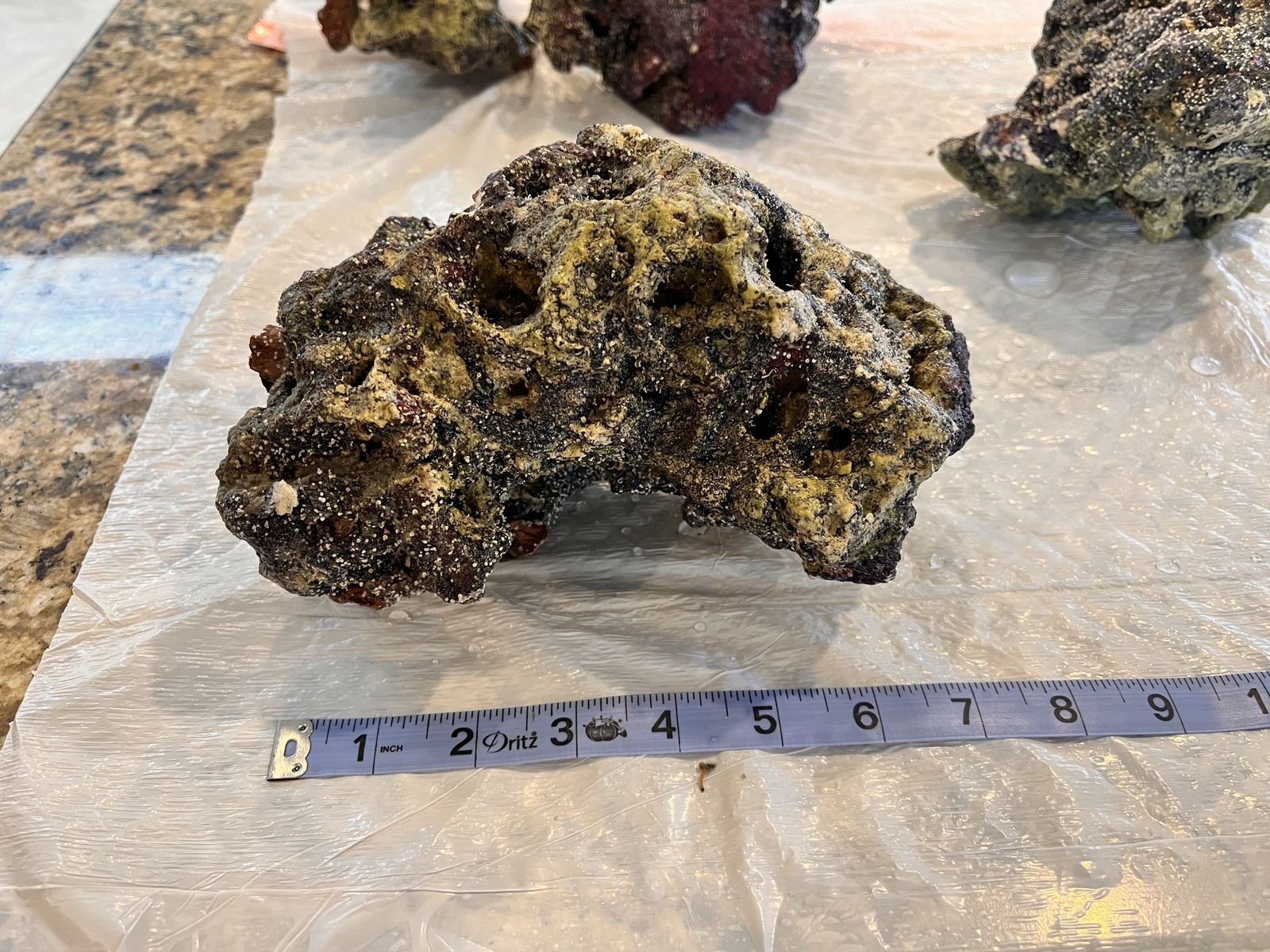 Live Rock For Salt Water Aquarium - 25 lbs