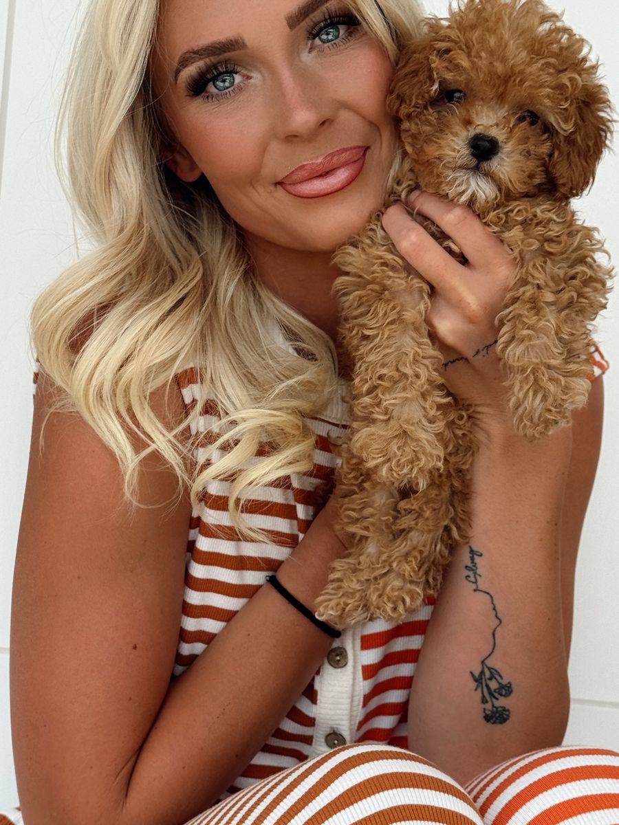 Puppy