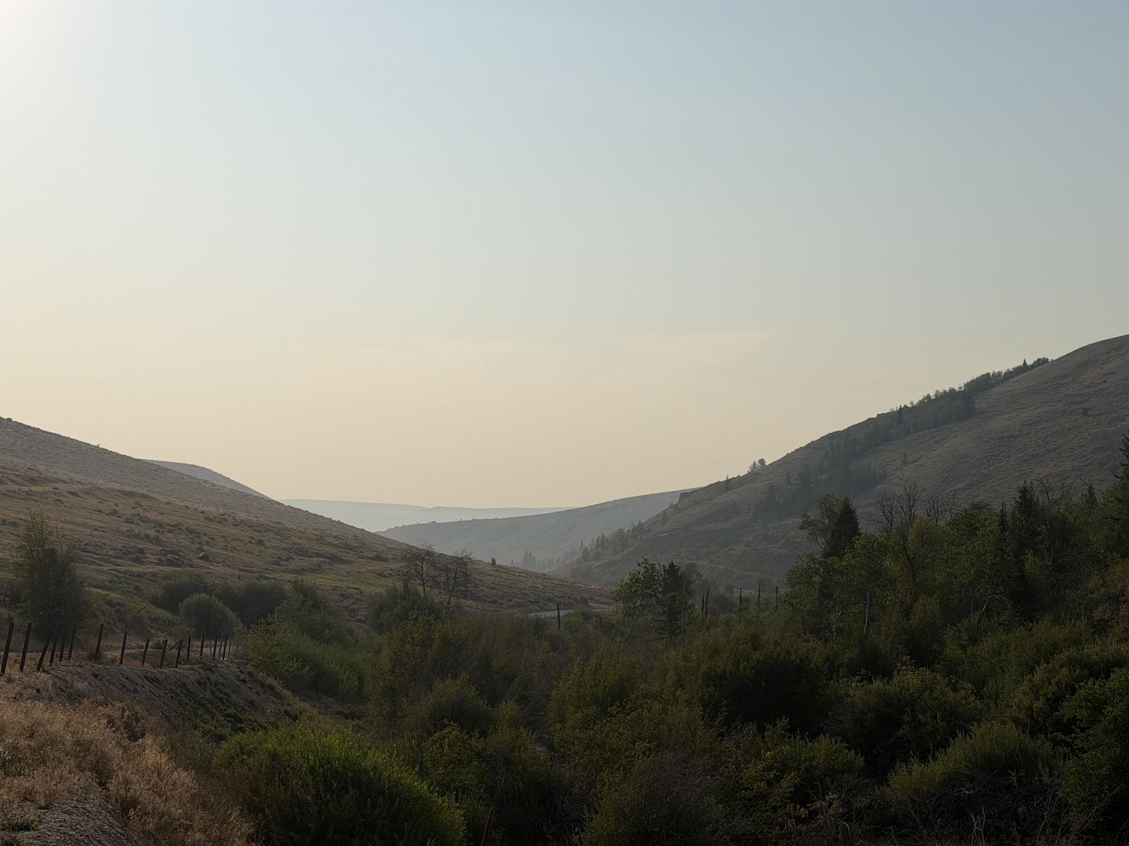 Main image 7
