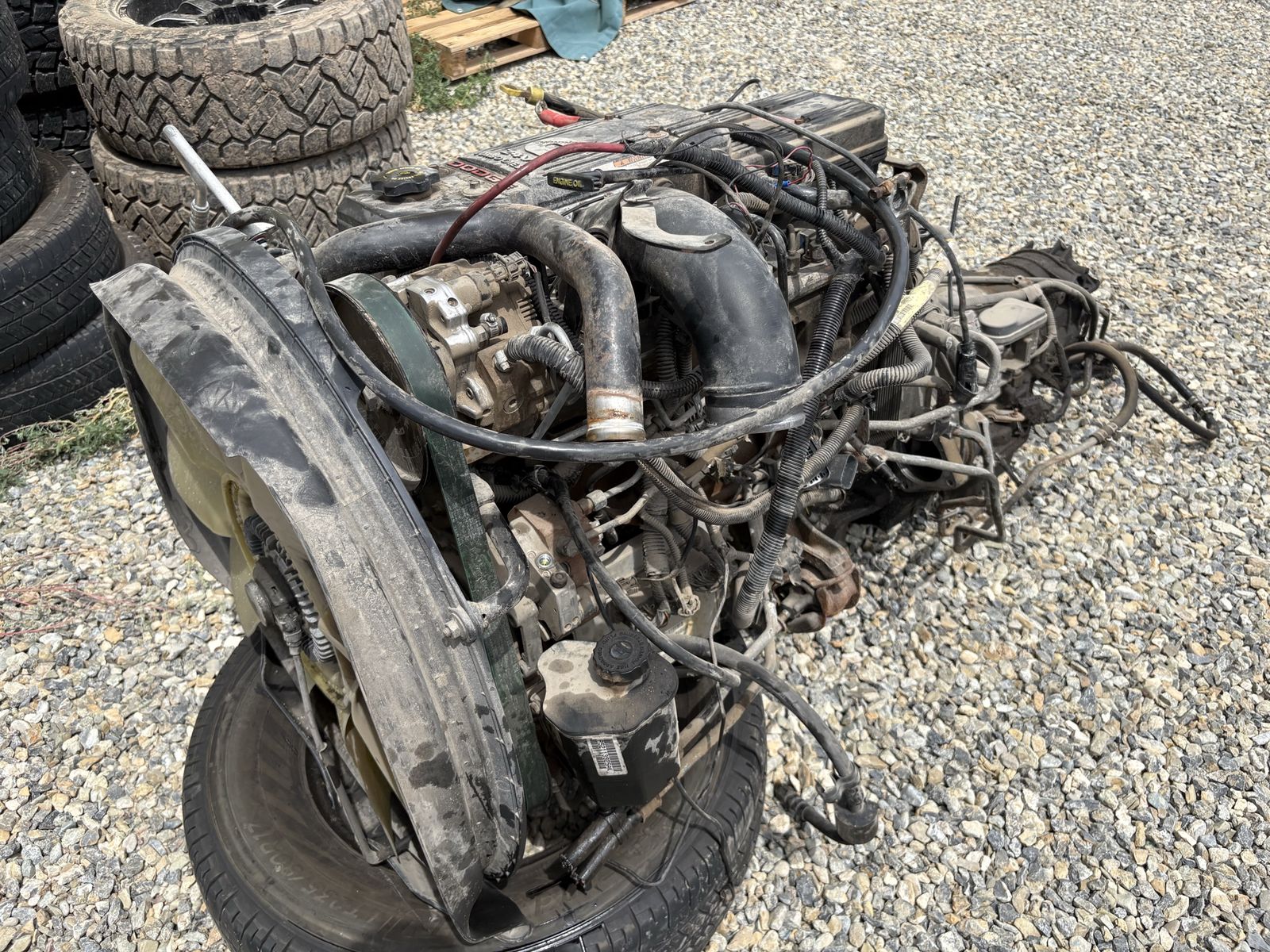 Main image 3