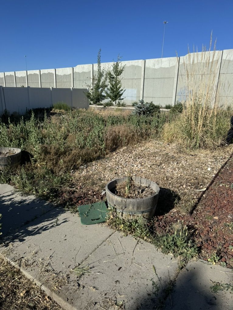 Weeds Removal Yard Clean Up Mowing Great Prices