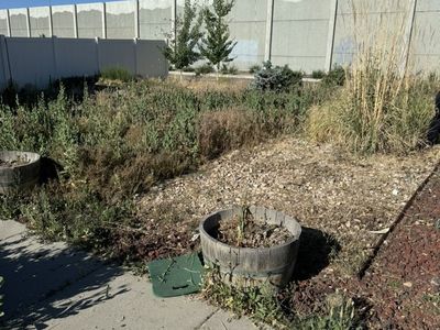 Weeds Removal Yard Clean Up Mowing Great Prices