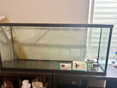 Fish tank