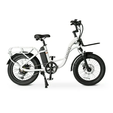 Concord 20" LoadPro Electric Cargo Bike 48V 2