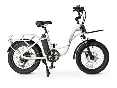 Concord 20" LoadPro Electric Cargo Bike 48V 2