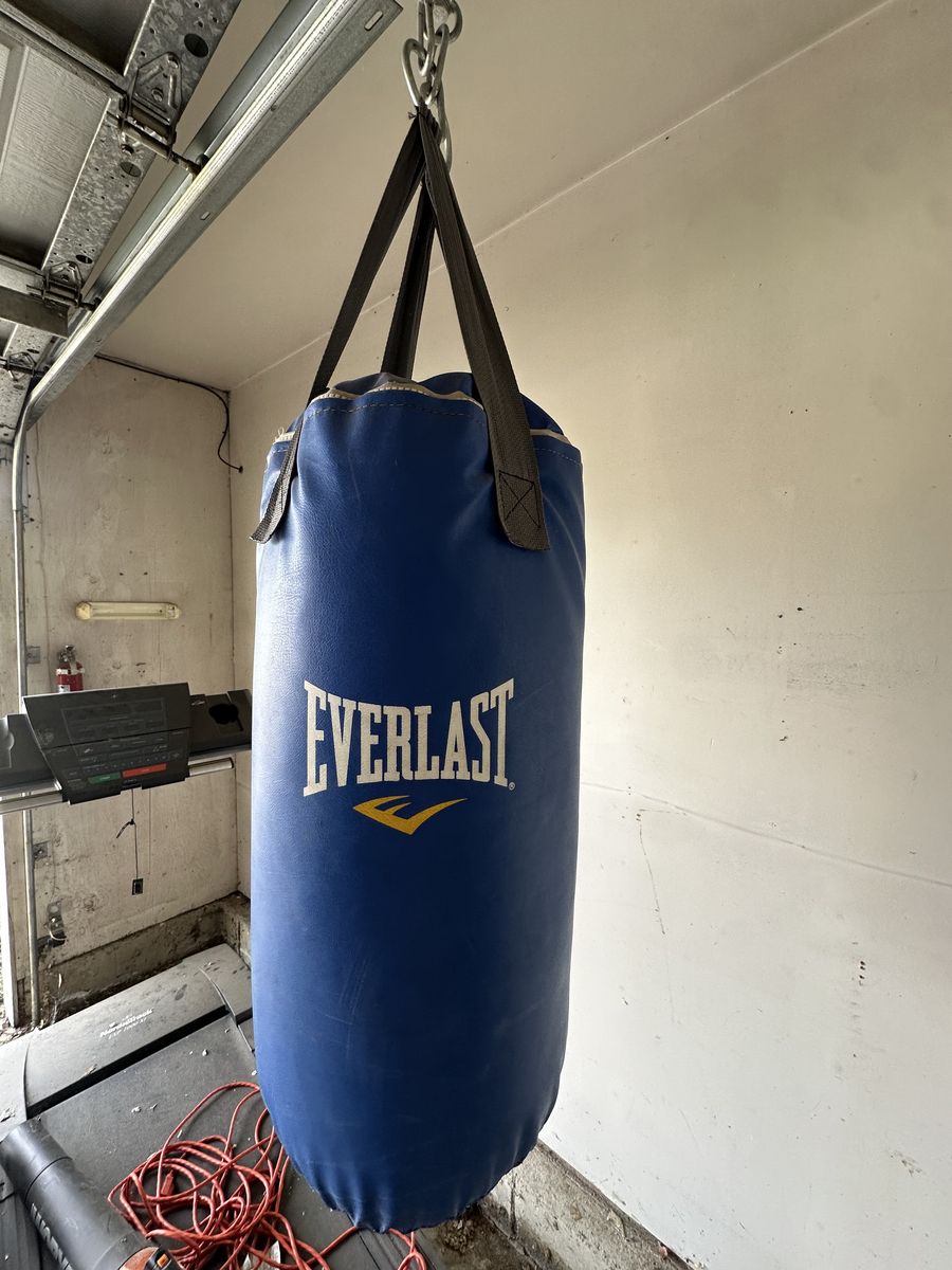 Everlast punching bag