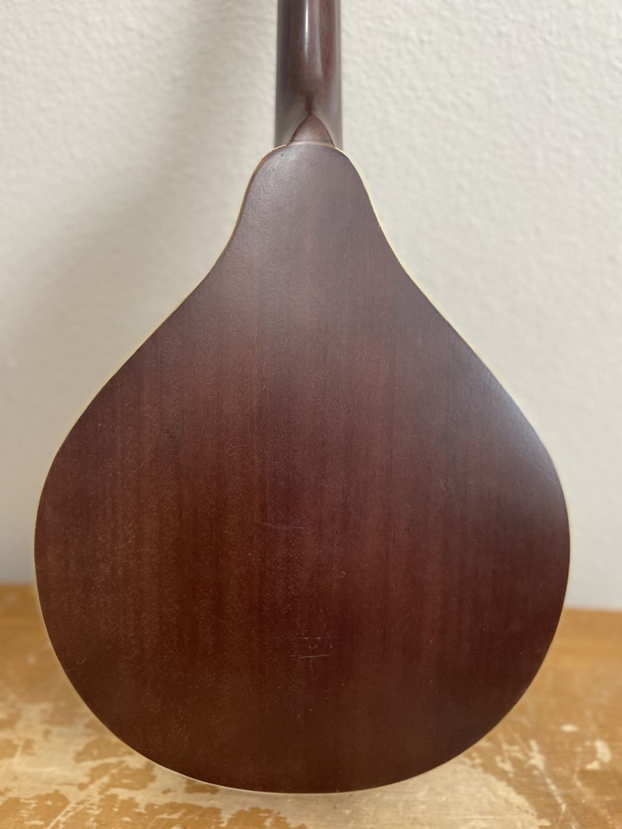 Main image 8