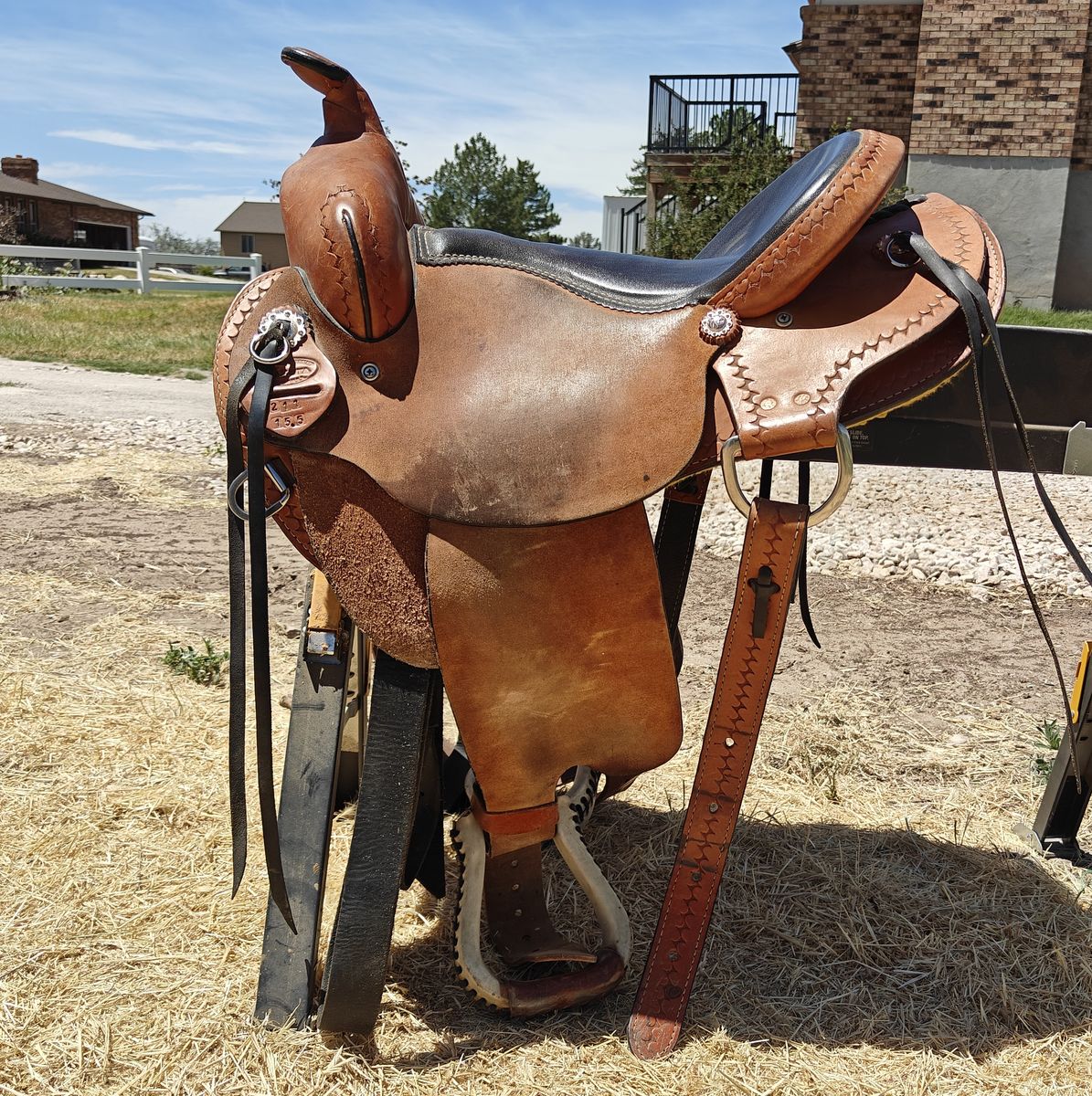 15" Dakota Haflinger Trail Western