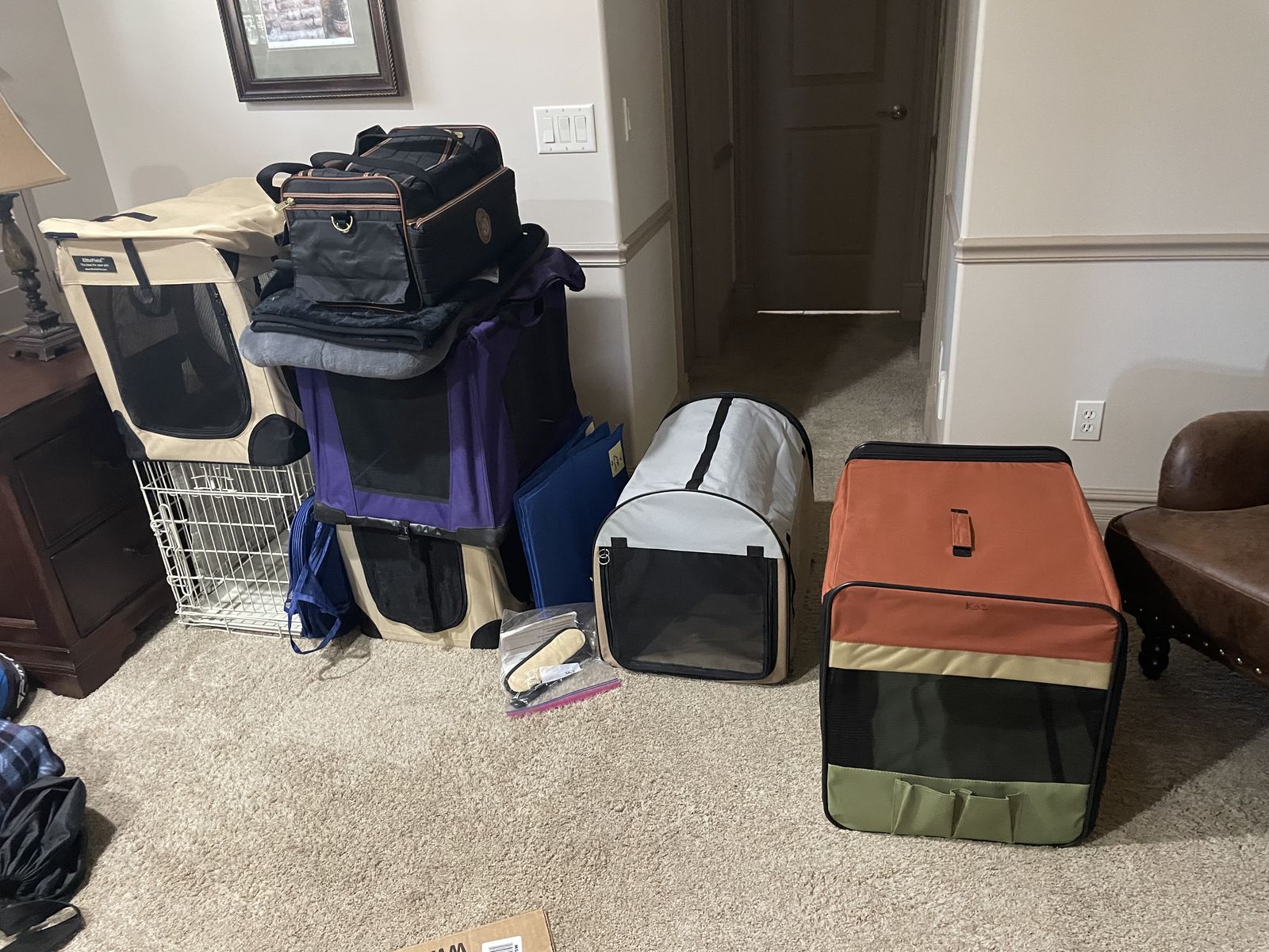 Small Dog crates and lots of accessories