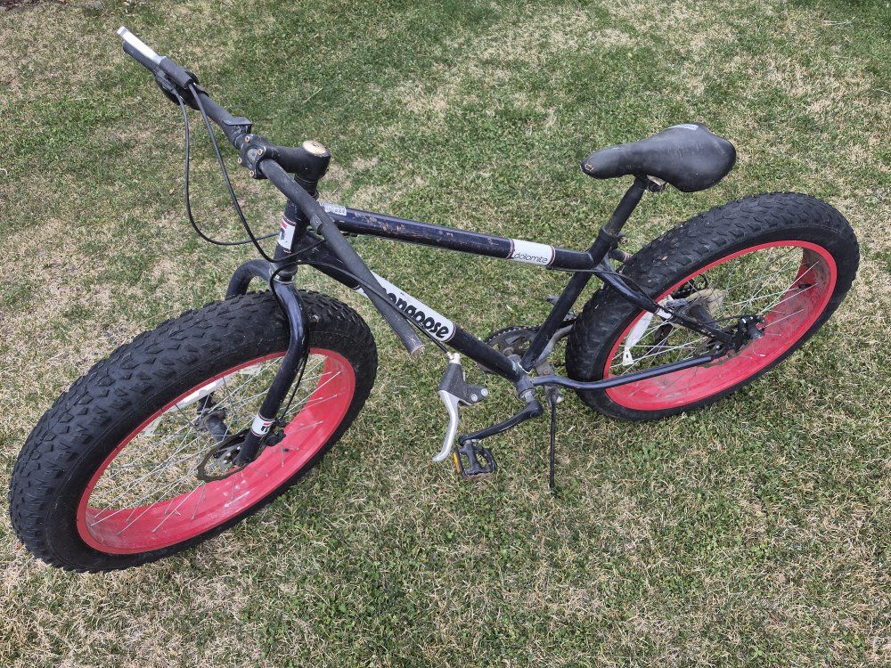 Free Mongoose mountain bike