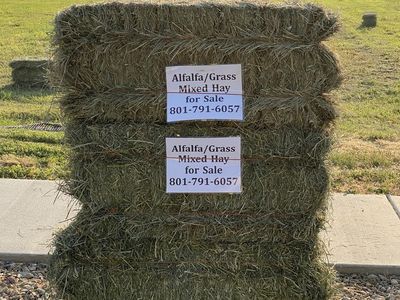 Alfalfa/Grass Hay for Sale