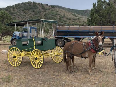 John Deere mountain wagon