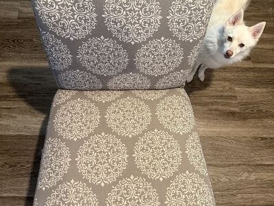 Accent Chair