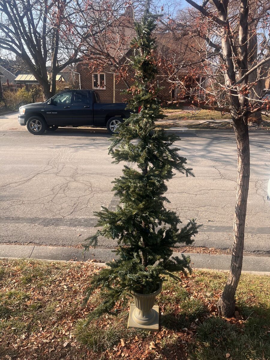FREE! Fake Christmas tree. Comes with base!