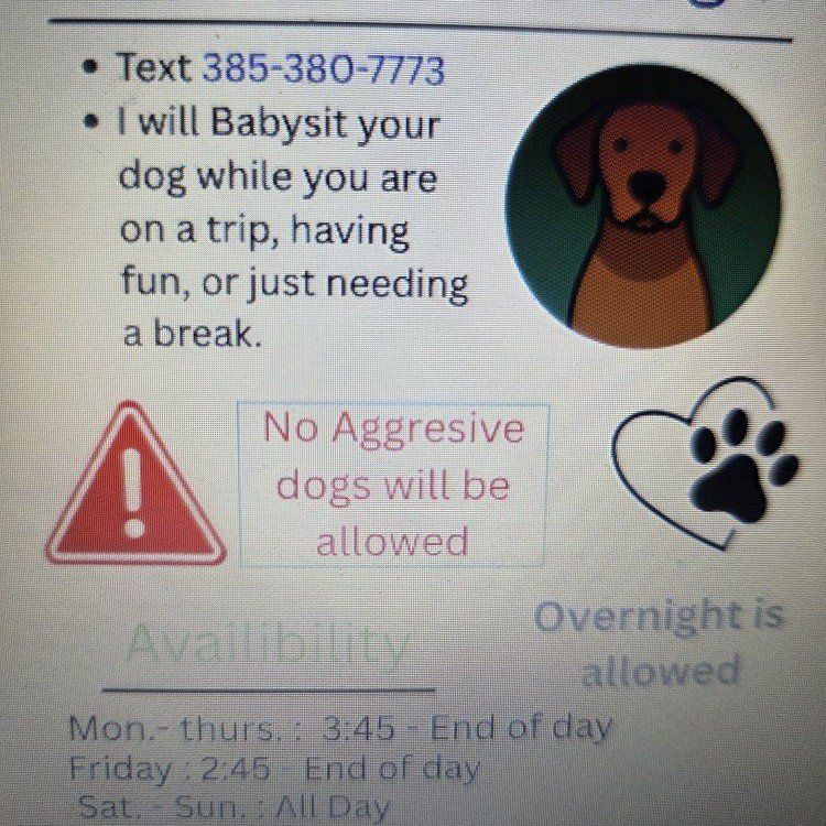 Dog Babysitting Services - Overnight Stays Available - Safe & Fun Environment for Your Furry Friend text 385-380-7773