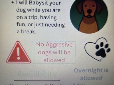 Dog Babysitting Services - Overnight Stays Available - Safe & Fun Environment for Your Furry Friend text 385-380-7773