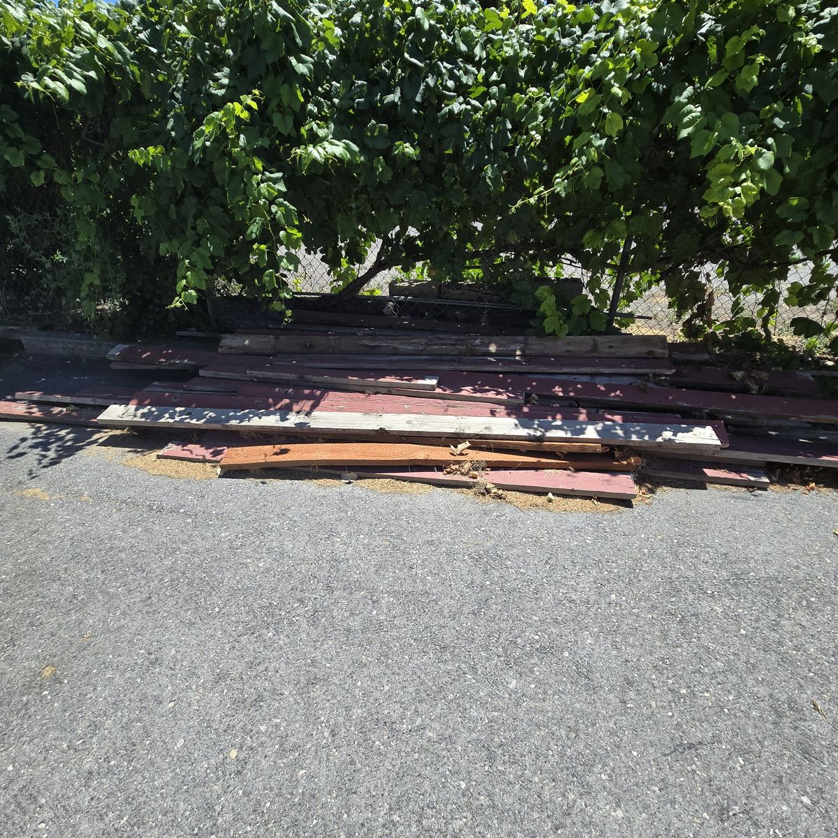 Main image 2