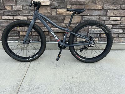 Co-op Rev|24 24 in. mountain bike