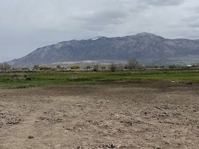 Horse Boarding - 4 Acre Pasture