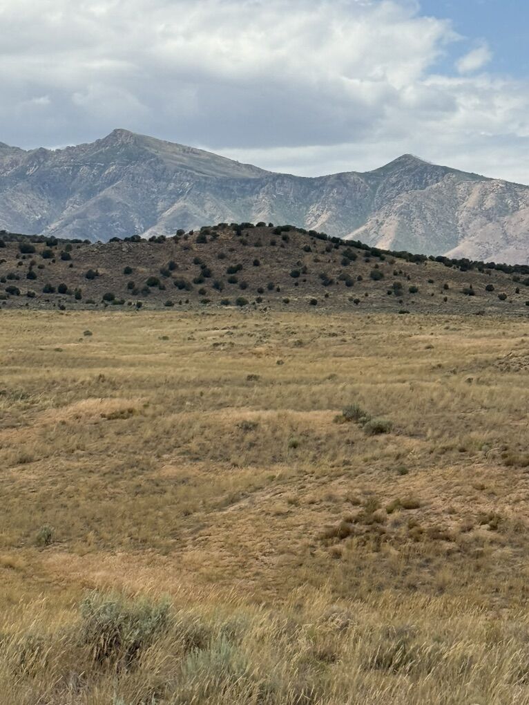 5 Acres Just South Of Yuba Lake