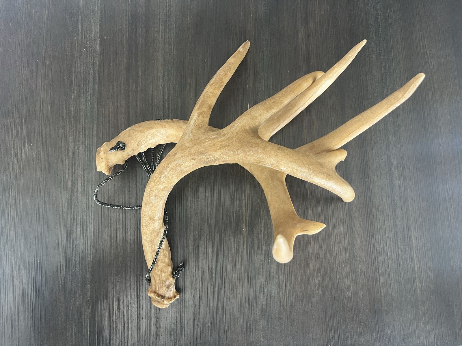 Composite Deer Antler Rattlers