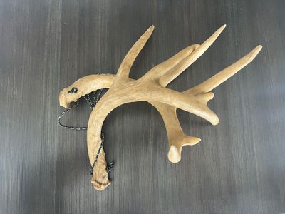 Composite Deer Antler Rattlers