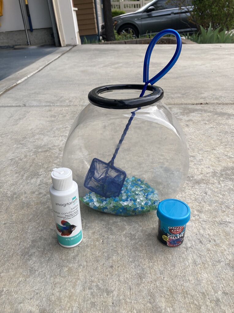 Fish Bowl + Beta fish Supplies