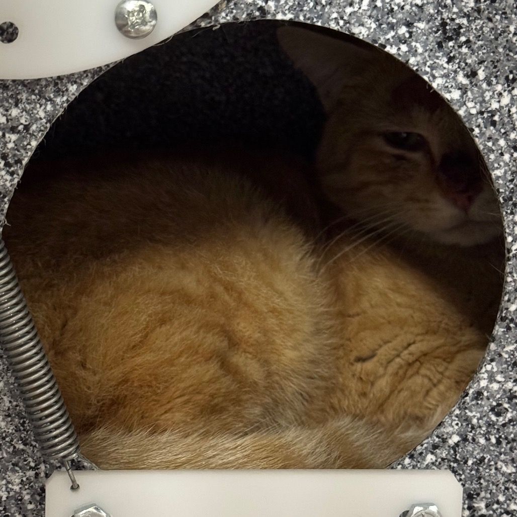 Hello my name is Alex Trebek