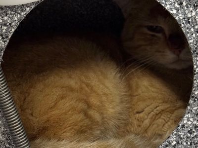 Hello my name is Alex Trebek