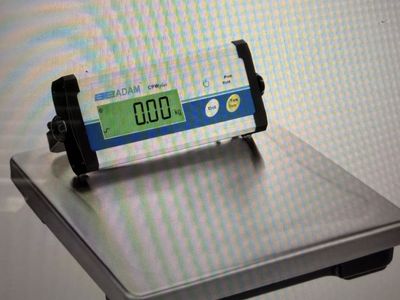 CPWplus Bench and Floor Scales-CPWplus 200