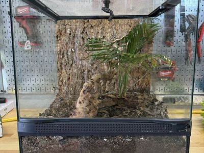 Zoo Med terrarium