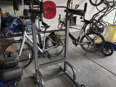 RELIFE Pull Up/Dip/Push Up Station