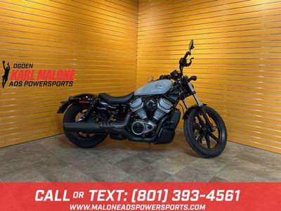 2024 Harley-Davidson® Nightster Billiard Gray - U