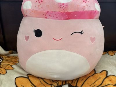 Squishmallows and other stuffed animals