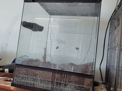 it has a pet gecko crested gecko
Glass Reptile Terrarium Enclosure with Heat Lamp Fixture
