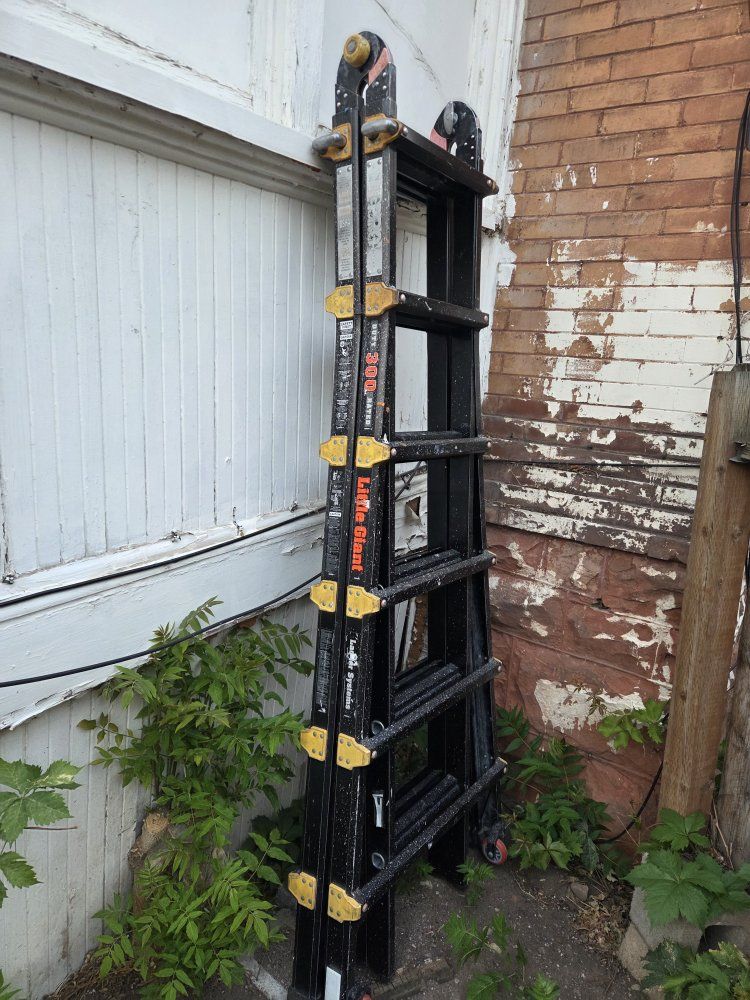 Little Giant 300 Pro Ladder