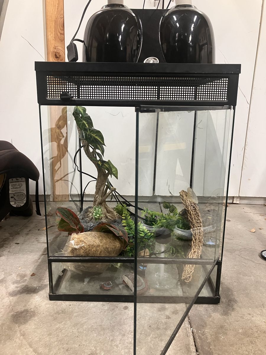 Reptile Terrarium