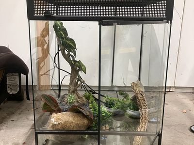 Reptile Terrarium