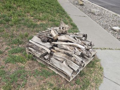 Free bonfire firepit or campfire wood