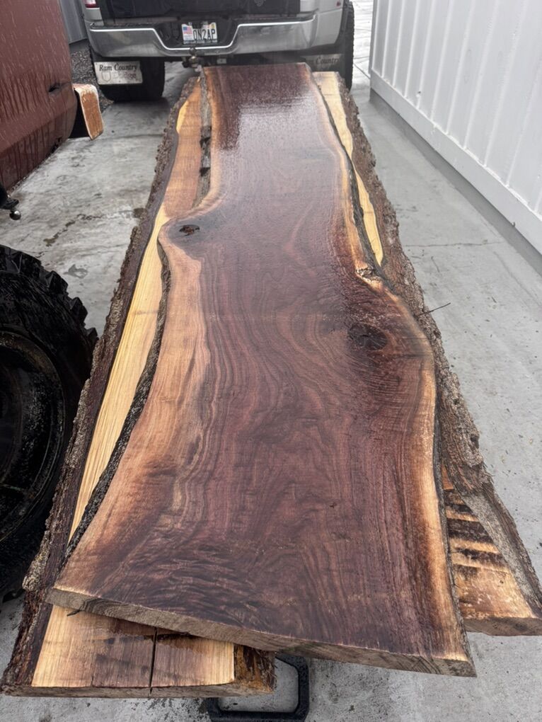 Black Walnut Live Edge Slabs